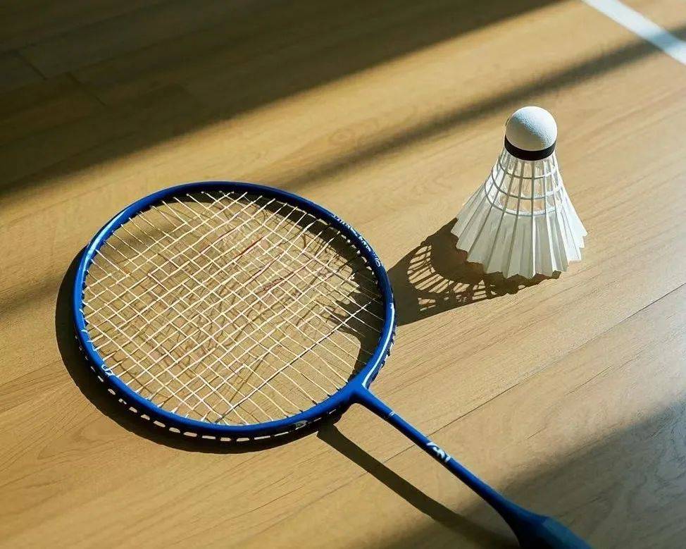 能会被用于 能会被用于