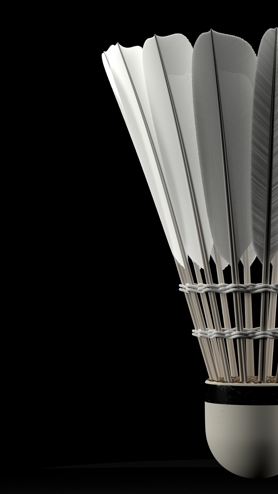 能力的检验 能力的检验