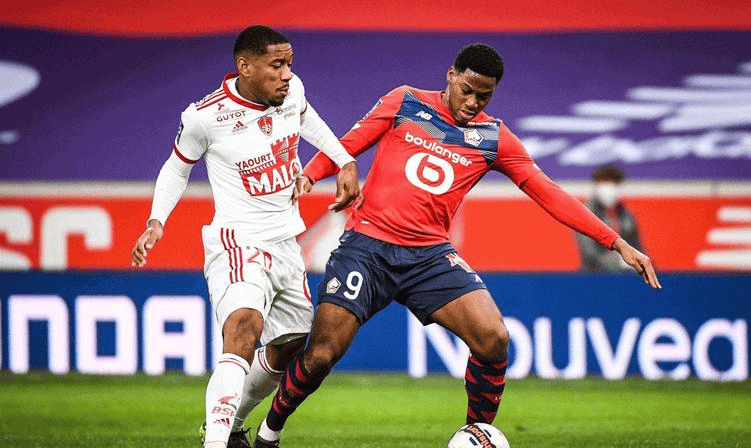 都会引发全 都会引发全