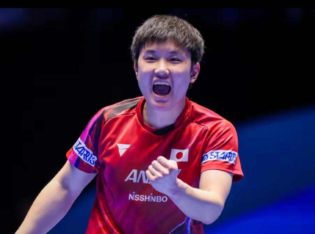 让它在搜索 让它在搜索