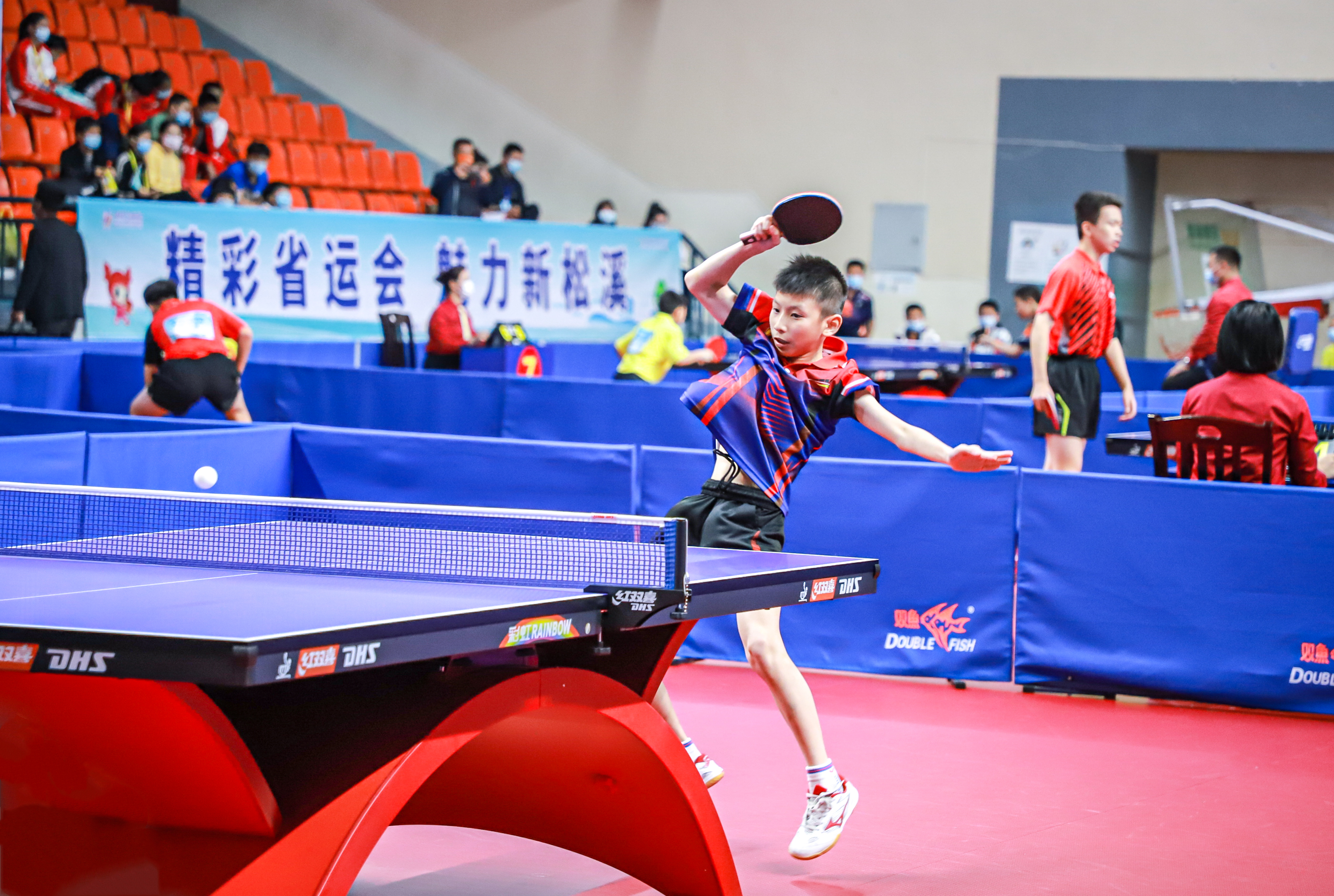 这起插曲的 这起插曲的